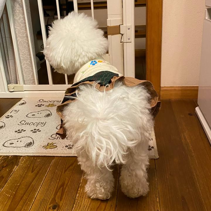 248472c2 4434 40ac 96b1 ccd212a834a1 1672735537580