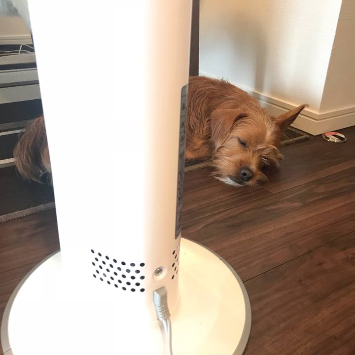 2484d21d a5b3 40e4 9e40 b3dc875d456f 1541396963591