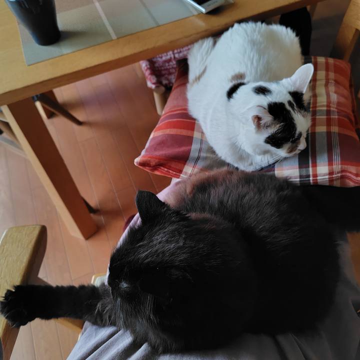 24850603 782a 4607 9a41 fc2bfd902bc4 1747040025711