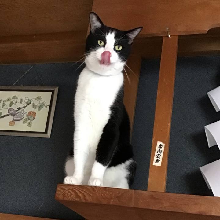 2485592a 1f5b 4fa3 a5f9 e0094edf9cd9 1758439550339