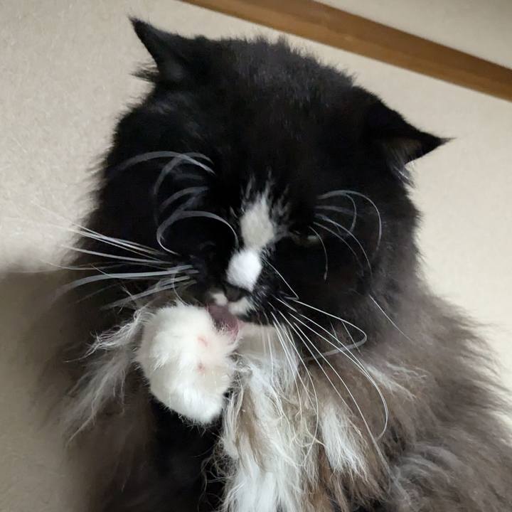 248562ba f6cb 4097 a9ca 3b178ac5b472 1730539903288