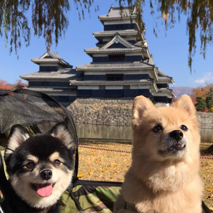 24856602 9afb 4279 a9e2 bb82832e7a8d 1606707374672