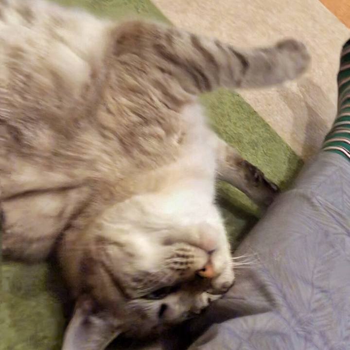 2486138c f614 4925 bb4f 24f3b9c0af4e 1767907448217