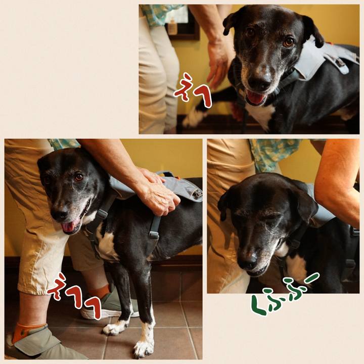 248663eb 6e6b 439a abf6 1a87279b8547 1757894687114