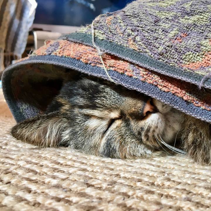 24868097 bda4 4cbc a4b1 c25b5cb366e9 1551491868096