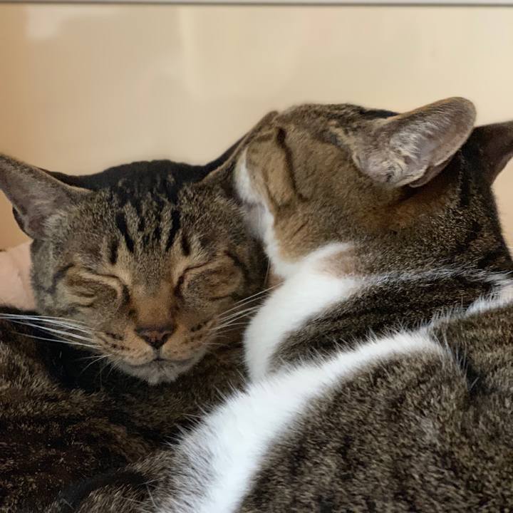 24868653 8d96 4b2e bf8b 58e2456b6a78 1551920013368