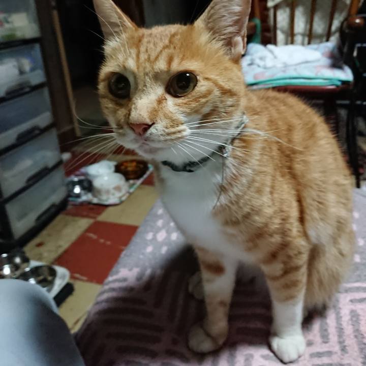 24868f1e 3e07 426d 8e65 a385f3645ea5 1594842728826