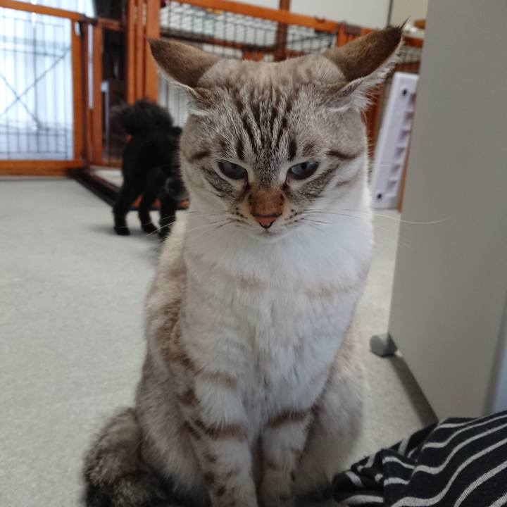 2486e9b2 cab9 4dec 923b 536d3d0b2370 1537509756587