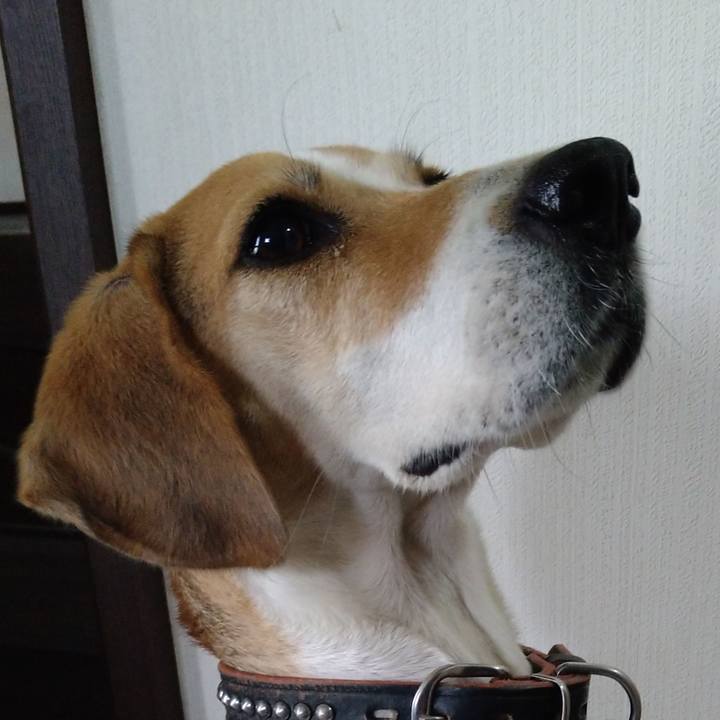 2486fa4e dddb 4cb4 8826 ff8e82807da7 1639839715699