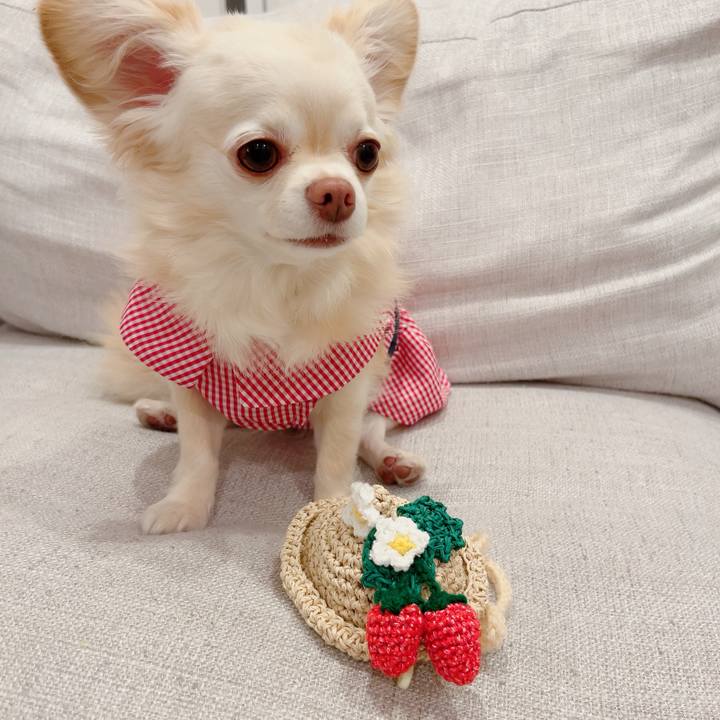 2486fc42 6f71 4473 99a3 bba7678ec1d3 1720875698055