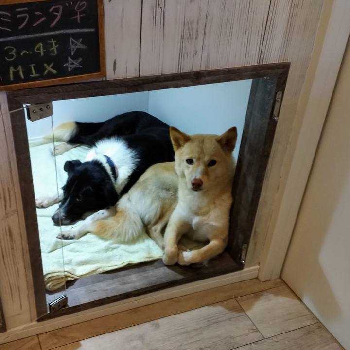 24872145 1471 402e 90c5 634706d962dc 1577625960705