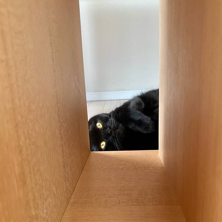 24872dc6 c76c 4687 bf23 98012aee524c 1690755403934