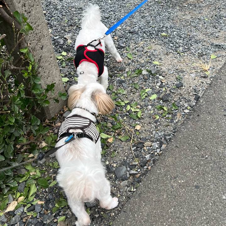 24874859 cc17 4cb3 8e6a f4d1983bb723 1659737194021