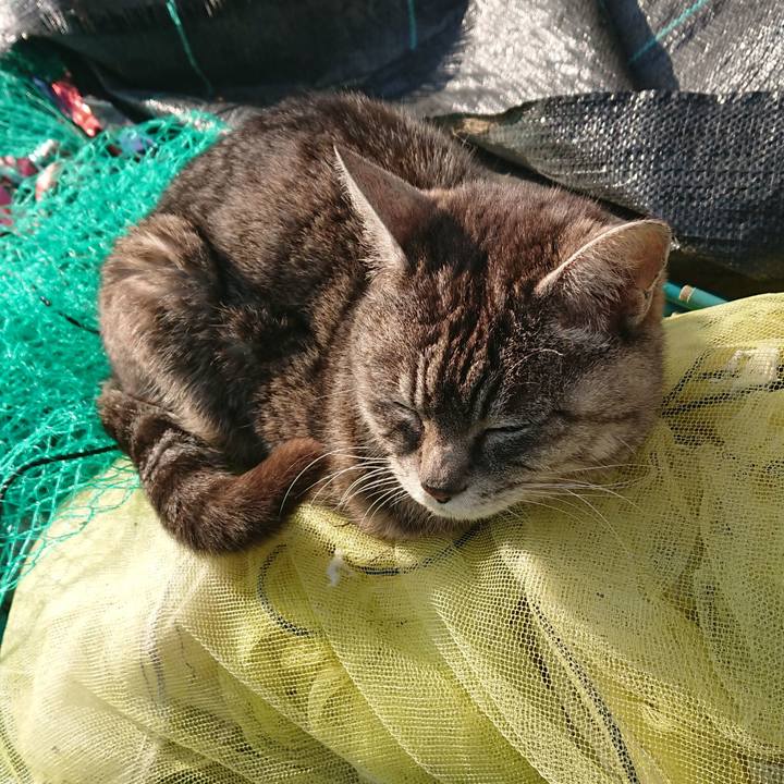 24877251 2021 4b69 bb02 0eed3a924984 1551594864813