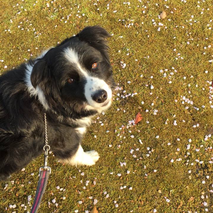 2487c31e e503 4781 9f53 1ad93a40a1c8 1586300854752