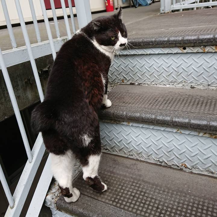 2487c33f 07e4 43c5 a29f 9f8e6171912b 1651482345215