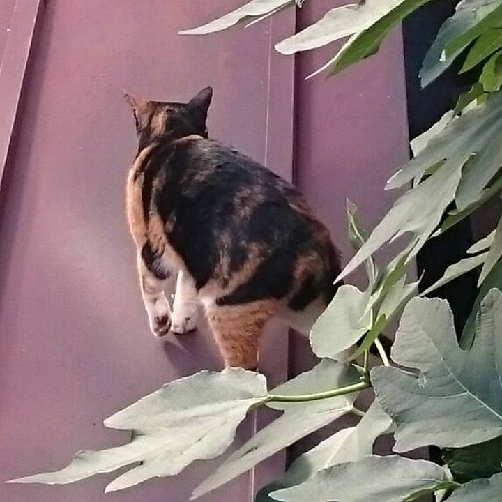 2487d2ec 6155 4994 9a49 764f01c6960b 1509686425293