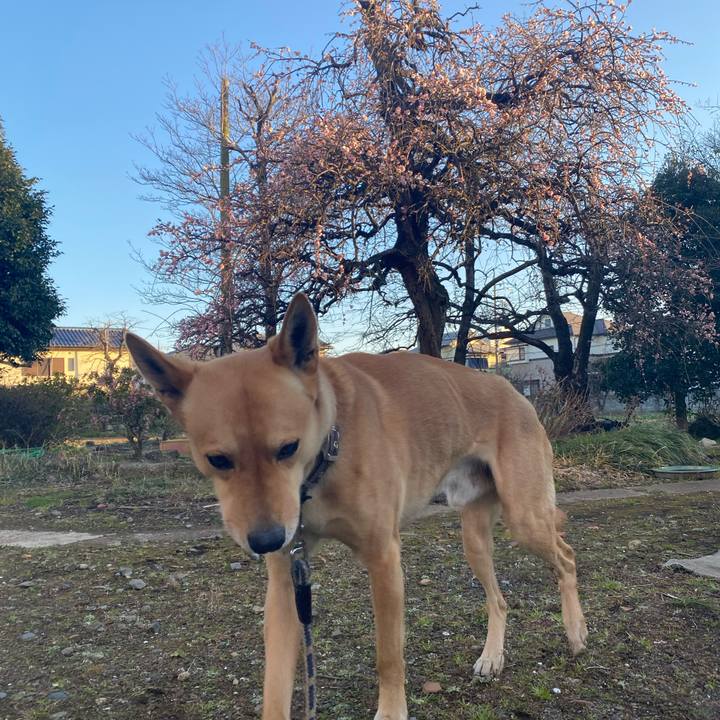 2487d656 eb34 4263 a5e7 1be8a63f1046 1710058318138