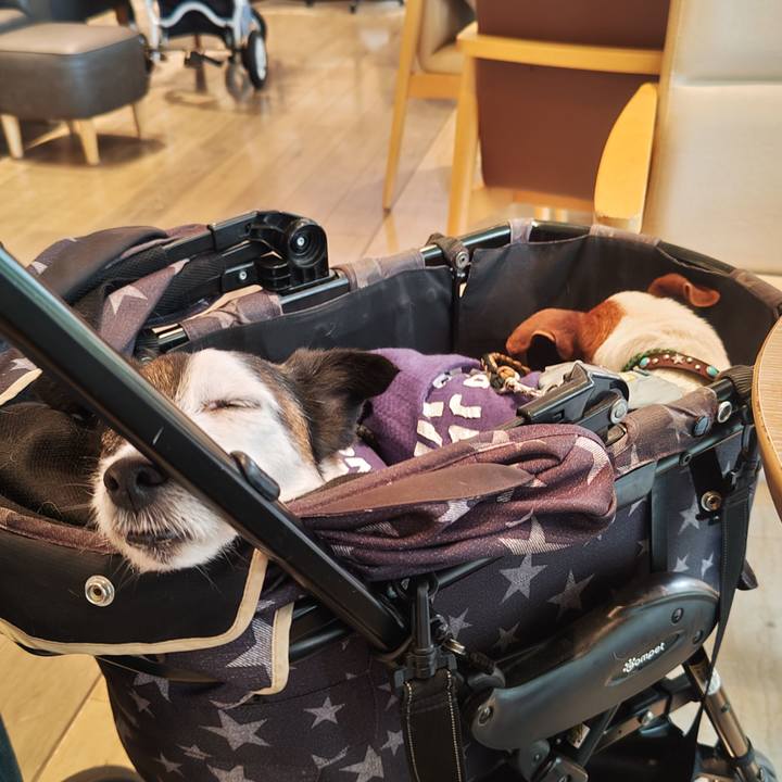 2487ebf3 649f 4f99 8b33 172b41bb61cf 1746518222779