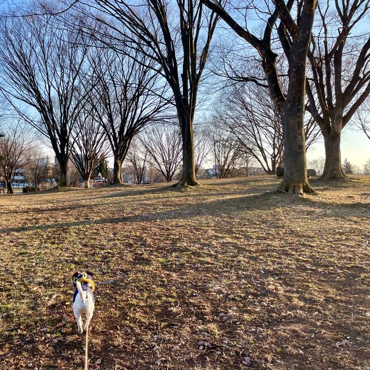 248834ab 6c5a 4f30 8cad 7346acd153e9 1646833490542