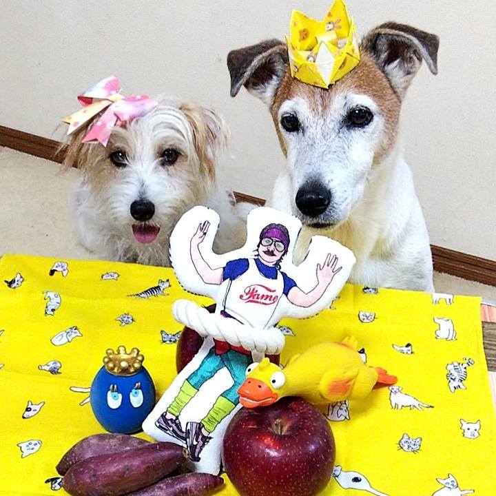 2488617d 4d30 4f25 8c80 e1cd44c44bfd 1570103504161