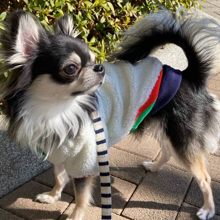 2488b71d c764 40c4 a5d0 de4ae35c6b57 1612586688997