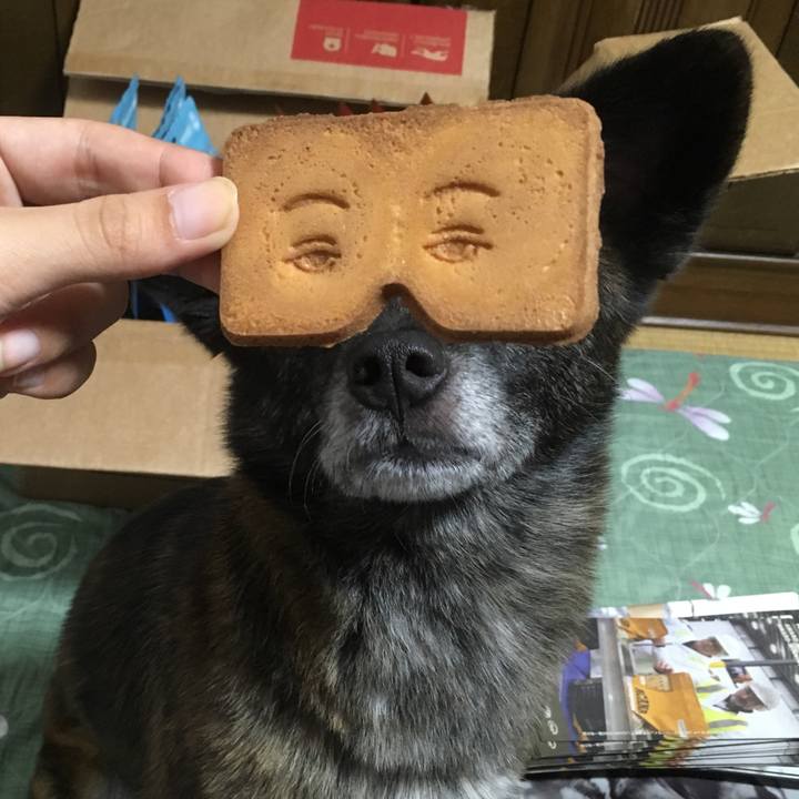 24890012 5df1 4112 8769 d35fc33aafbe 1533012048843