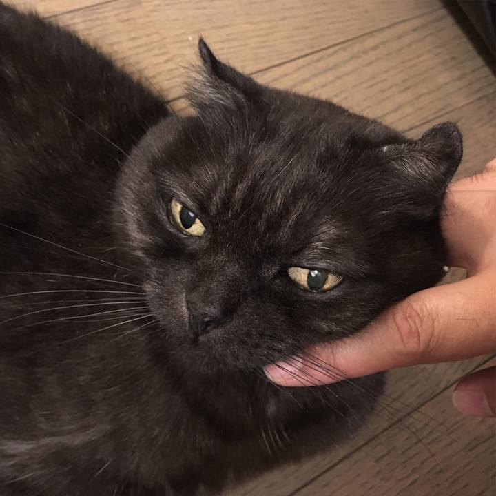 248907a5 54ae 47c5 ab51 ad2119fb3bd4 1525887161770