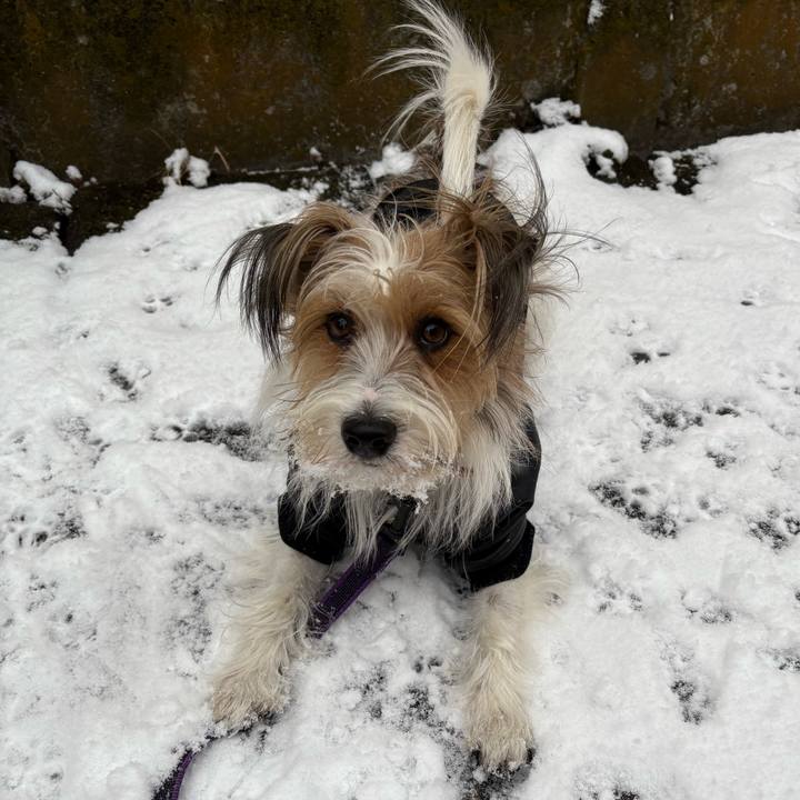 24893ecb 1fee 40d6 aeda b5eff784a72a 1770528965415