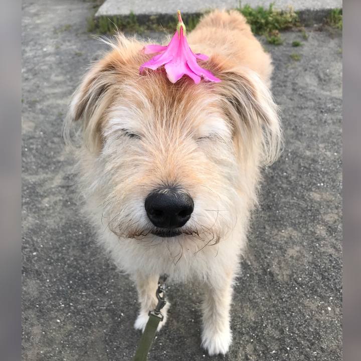 2489ab3c 7423 432a 8c59 67bf61ad6411 1619256336768