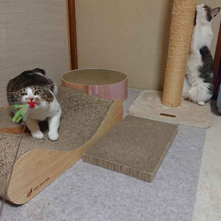 2489adde a7a7 48d0 aabd f4f83fe2e01d 1620008969562