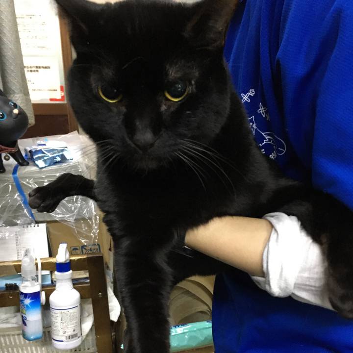 2489bf43 c80d 4444 9cbd f246b7959bab 1584085697818