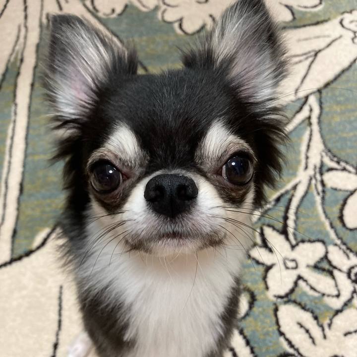 248a049d f6ad 4b1c 96b7 07e28b51e64f 1630241267149