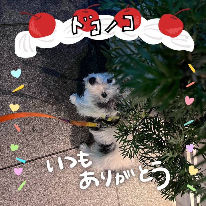 248a0a12 fe7c 41ed 8831 bcfcd4a9f924 1685965689408