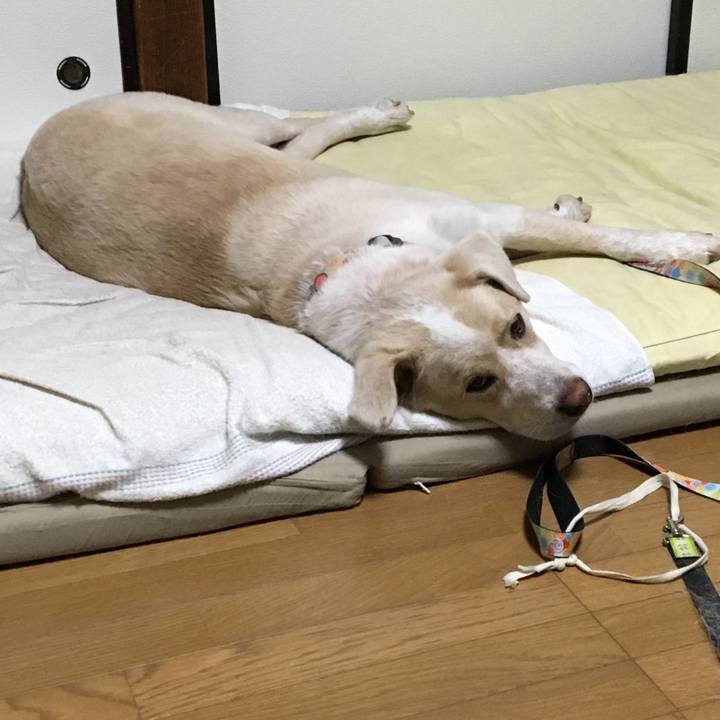 248a1afe 5ef4 45aa 85b3 e5e15838dde8 1541514995681