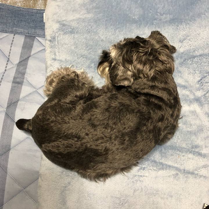 248a245d bcff 4d75 b612 52d45873961d 1688994499346