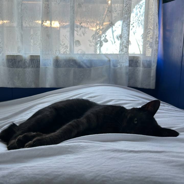 248a3ac4 b768 439d afe4 2d072c1e24f5 1757832202604