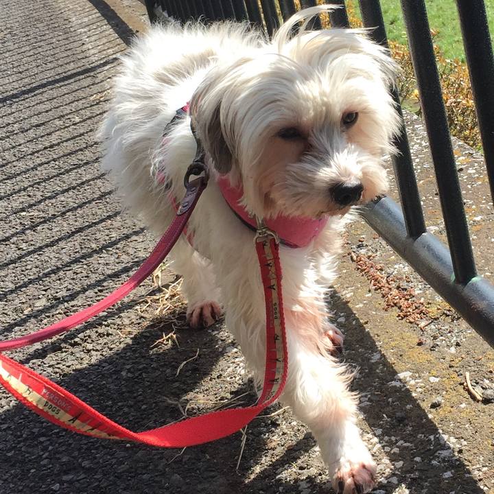 248a45a0 597d 48f6 b978 79fd30bc7036 1520750801215