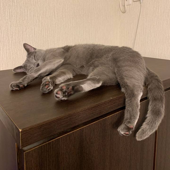 248a575e 382d 4fd3 9869 7397a4878f50 1639828873460