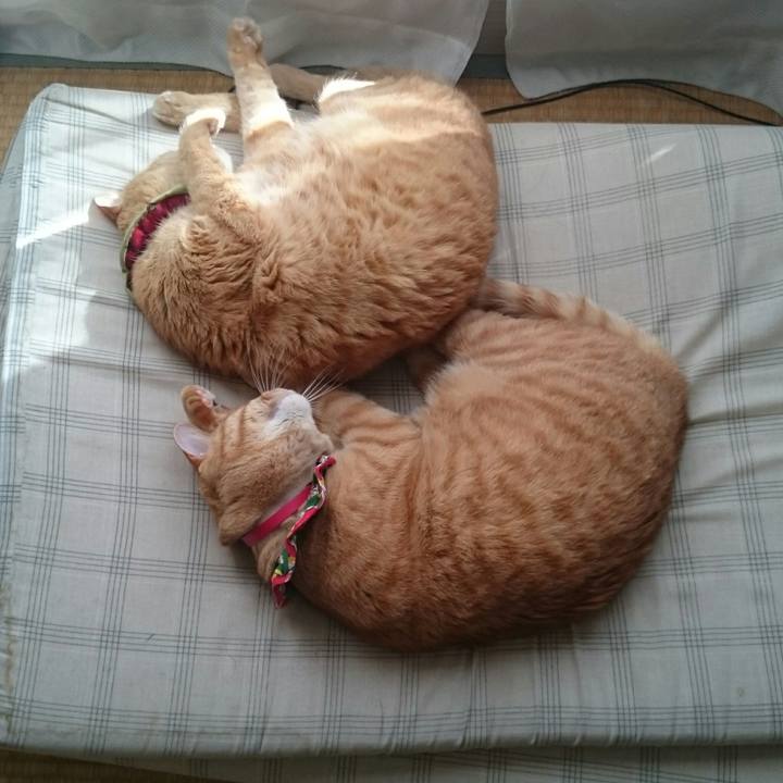 248a6fe7 2ab8 4e48 a15a 361a0f580a78 1520321755466