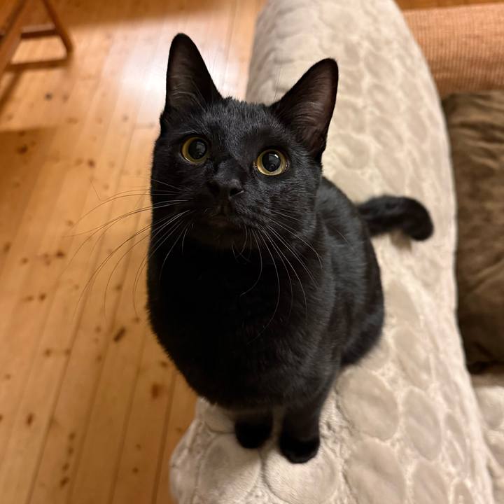 248a855e 0403 4e5f 8a22 576b78058b85 1769859705726