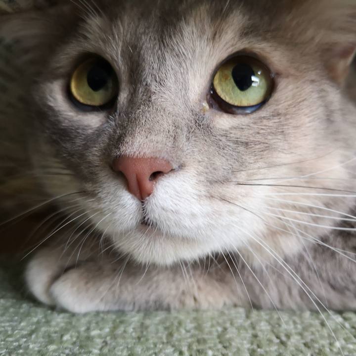 248ab8f0 34d3 411f abaa bf02b046e439 1596255293751