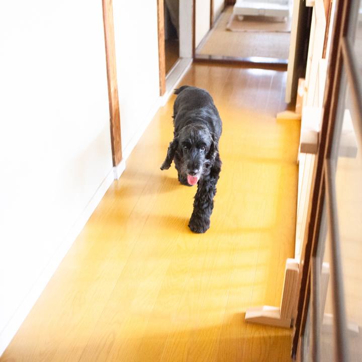 248abba5 bc4e 48d9 9919 41672caa1cc8 1568162478260