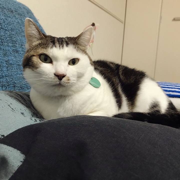 248af46f d8e7 4800 9161 9b2e7faa06a0 1582614777740