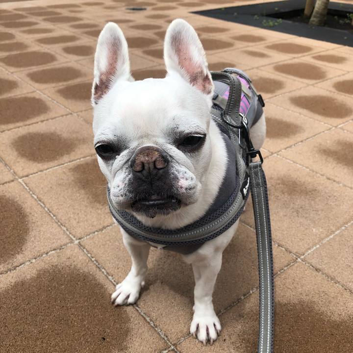 248b06cc d348 4c35 86c8 4fc82dd684df 1650085840229