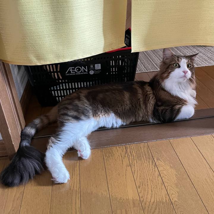 248b1d16 c459 4fea a539 3b625637ef7c 1662879552407