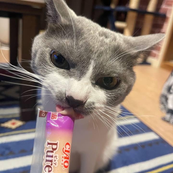 248b39fe dbc5 48ec bc9b d00eb9274c07 1664702422401