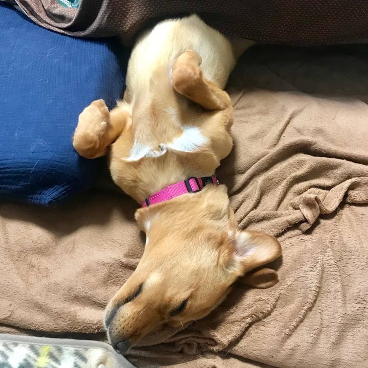 248b47c4 0212 4b80 8e24 7bae7b59231d 1559042557272