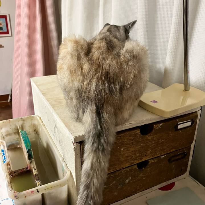 248b6982 6e96 45b4 9319 c2f892857795 1722863571226