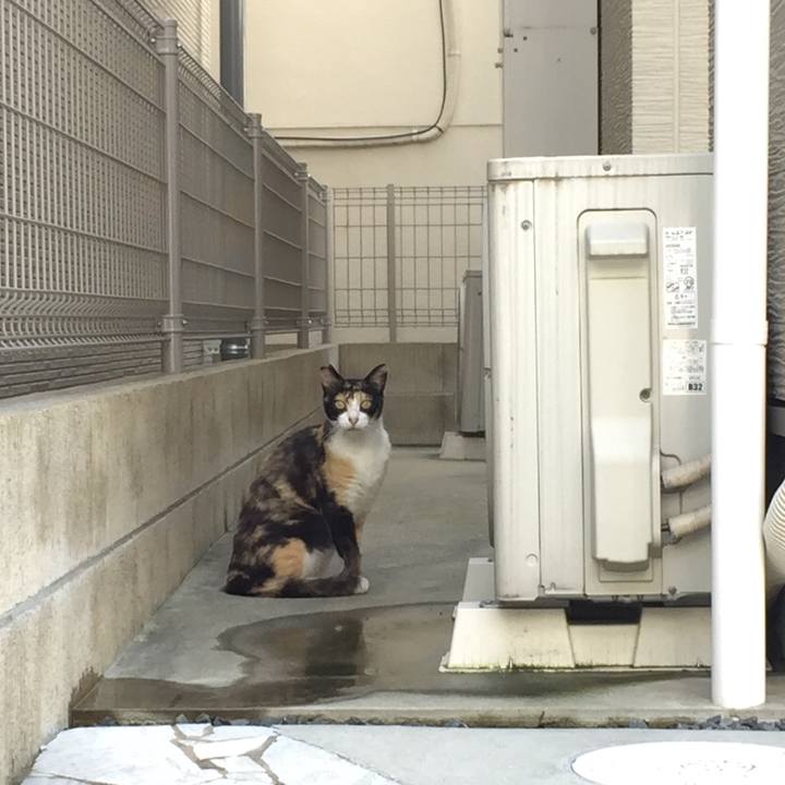 248b79ec fae5 4e7f aa36 fba095c9e2dc 1531184810140